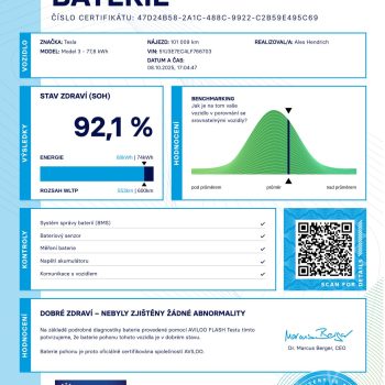 Tesla model 3 Performance SOH 92,1% full