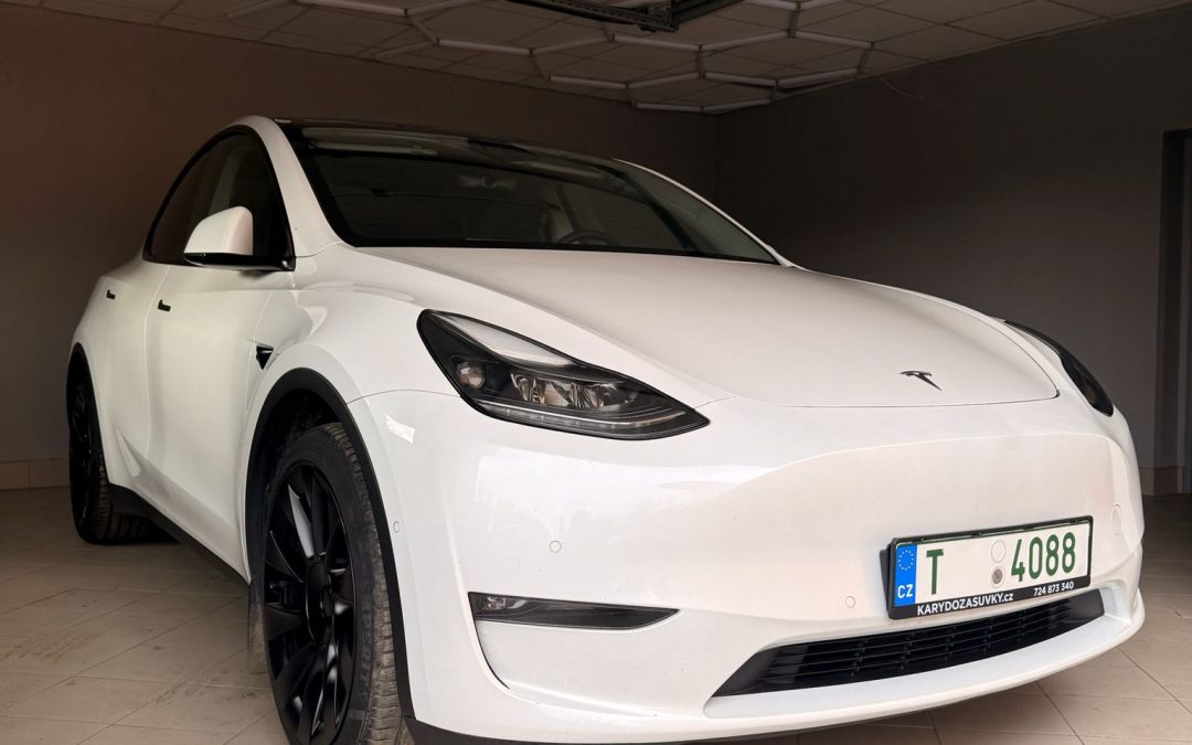 Tesla model Y Long Range SOH 100%