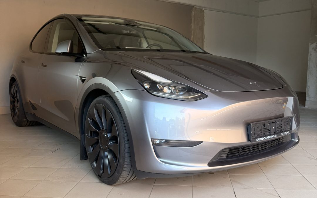 Tesla Model Y Dual Motor Performance SOH 92,9 %