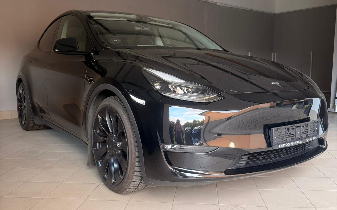 Tesla Model Y Performance