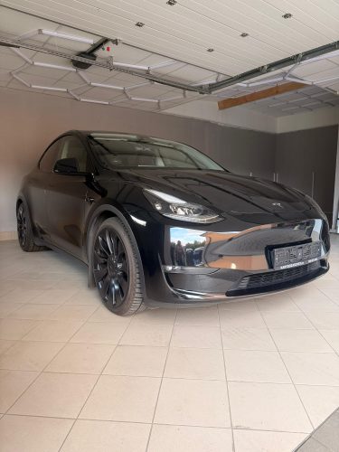 Tesla Model Y Performance