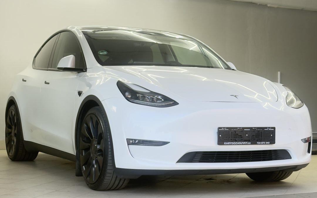 Tesla Model Y Performance